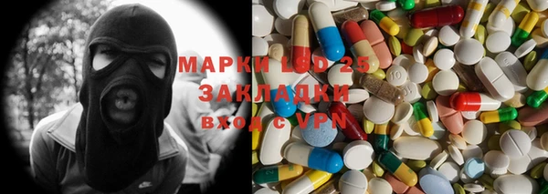 индика Беломорск