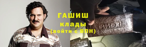 индика Беломорск