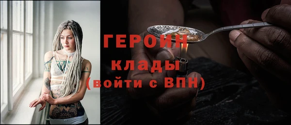 индика Беломорск