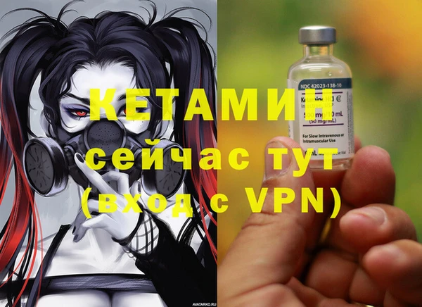 индика Беломорск