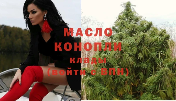 индика Беломорск