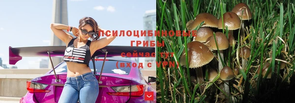стаф Белоозёрский