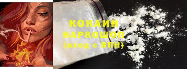 индика Беломорск
