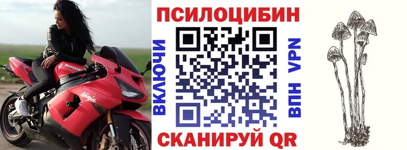 магазин    площадка наркотические препараты  Псилоцибиновые грибы Psilocybine cubensis  Пионерский  ОМГ ОМГ как войти 