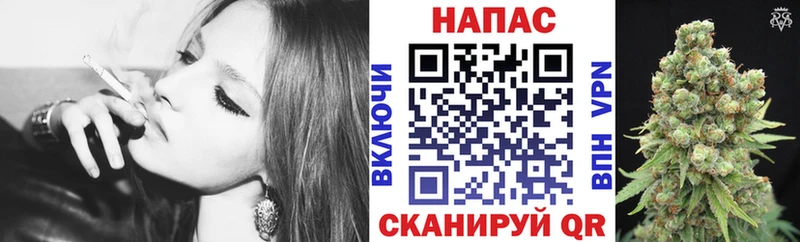 продажа наркотиков  Пионерский  Канабис гибрид 